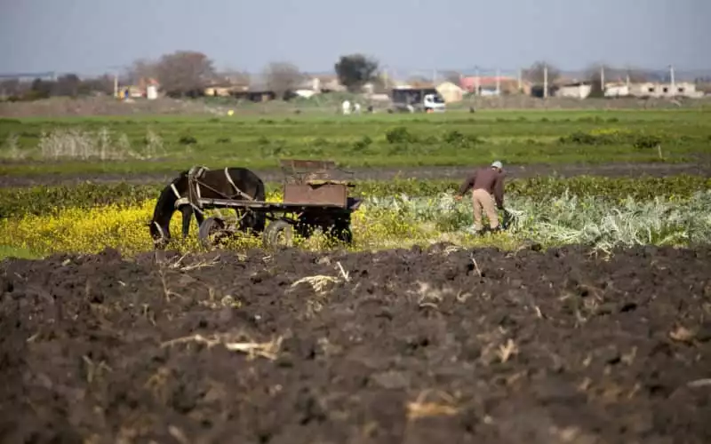World Bank Projects 2.5% Growth for Morocco's Economy in 2023