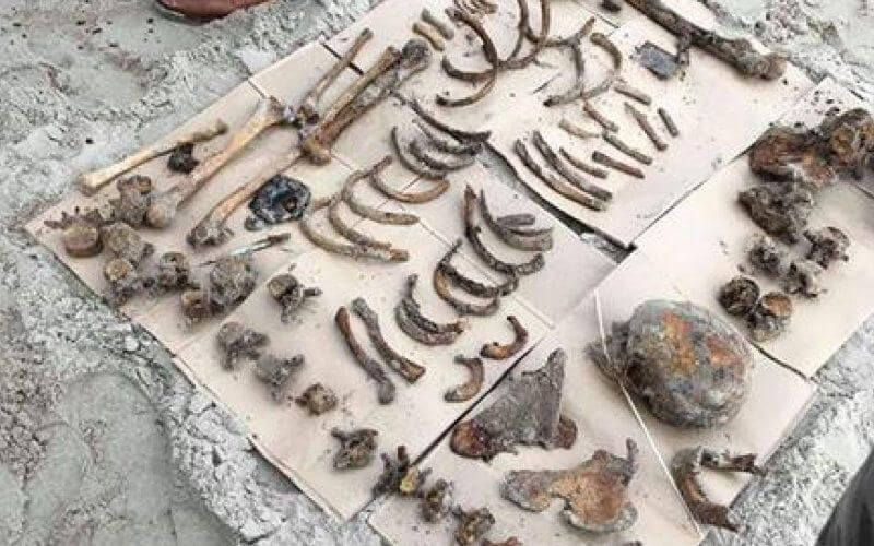 World War II Moroccan Soldier's Remains Discovered on French Beach